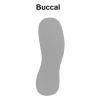 Buccal